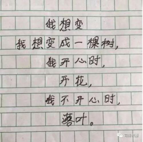 小学生最新爆料文案简短,校园奇闻轶事大揭秘!”  第2张 小学生最新爆料文案简短,校园奇闻轶事大揭秘!”  第2张