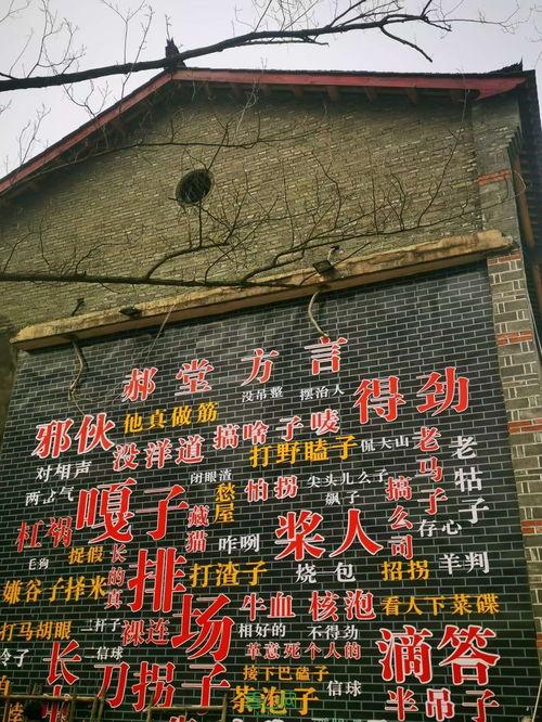 西善堂村爆料案件最新,真相渐露,疑云重重