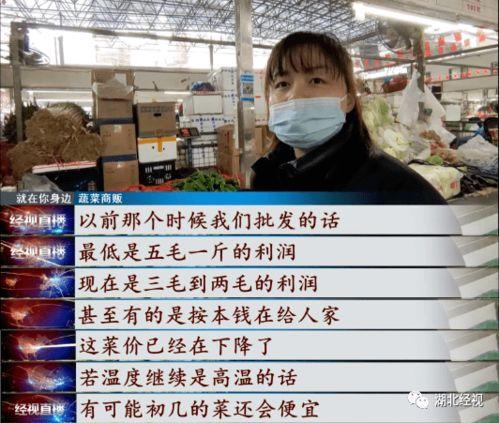 武汉菜价爆料视频,最新爆料视频揭示市场动态  第1张 武汉菜价爆料视频,最新爆料视频揭示市场动态  第1张