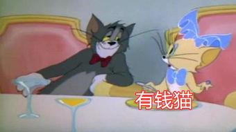 猫和老鼠s2爆料视频,经典角色新篇章,笑料百出引期待  第1张 猫和老鼠s2爆料视频,经典角色新篇章,笑料百出引期待  第1张